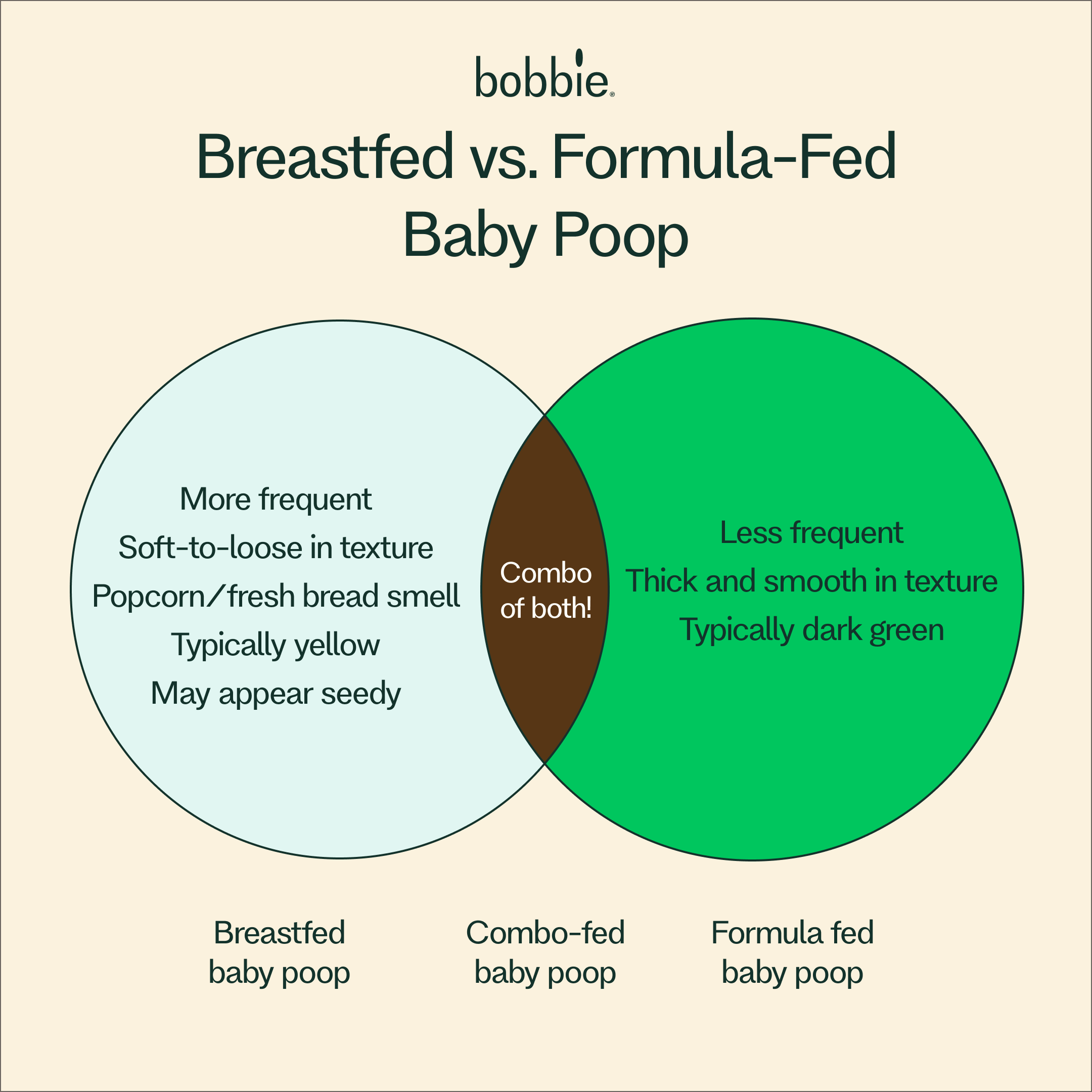 Baby Poop Chart: Colors, Textures and When To Worry