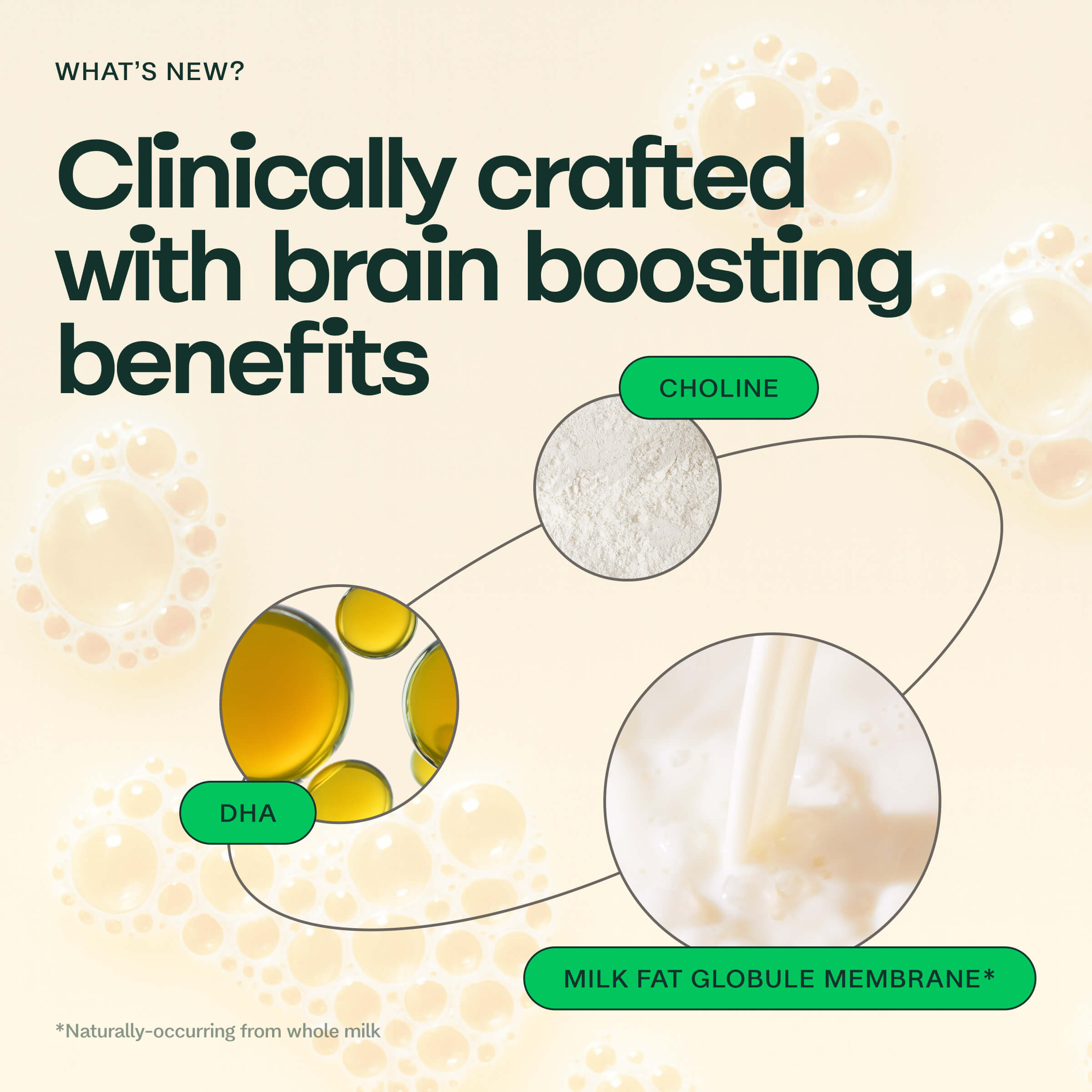 Organic Whole Milk Infant Formula Starter Bundle