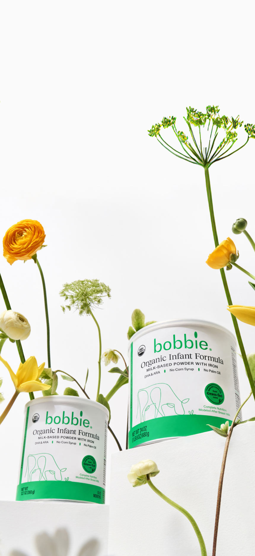 Bobby Powder Formula Our Best Baby Formula | Bobbie